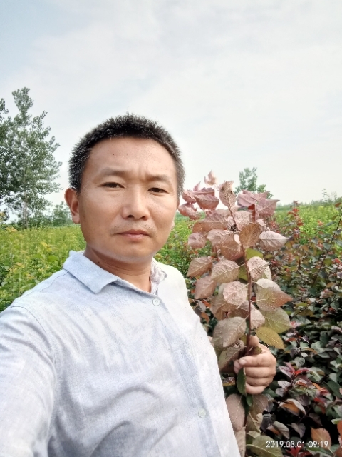 孩子爸的第一张照片--徐州王婆说媒